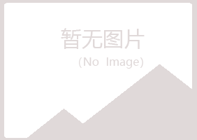 阳明区山柳建设有限公司